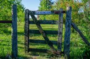 La Asuncion, country estate - Image 3