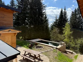 Apartmány Petr Horní Mísečky - Špindlerův Mlýn A1 - Image 3