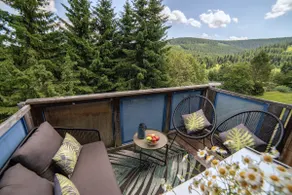 Erzgebirge Suite | Nature & Balcony at Fichtelberg - Image 3