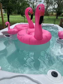 Heated Swim Spa Hot Tub Sauna Picklebal Game Rooms - Image 4