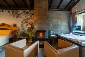 Cottage with Two Baths. Fireplace and Barbecue - Image 4