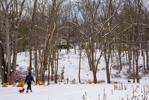 Dog Heaven on 50 Acres with Private River Access - Image 5