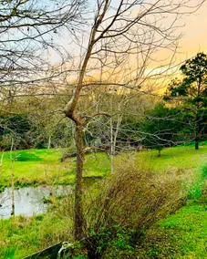 Top 5% on Airbnb - Private - Romantic - Pond - Image 5