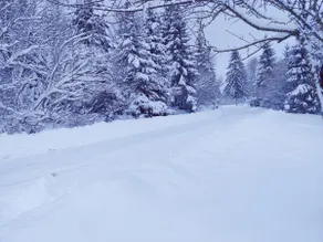 Beautiful cottage in the heart of the Jura Mountains - Image 2