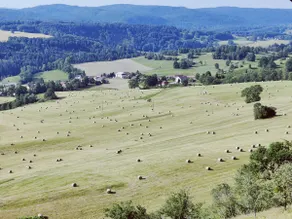 Beautiful cottage in the heart of the Jura Mountains - Image 4