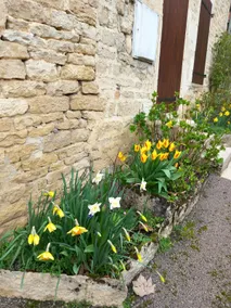 Country house in the heart of a welcoming Burgundy village - Image 2
