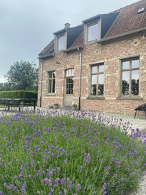 Huis Potaerde: country house on farm - Image 2