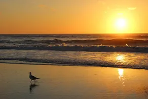 Be A Nomad | 2BR Oceanview Near Jax Beach Pier - Image 5