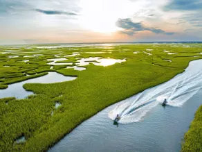 Chic Waterfront Retreat | Walk Score 100 + Kayaks - Image 5