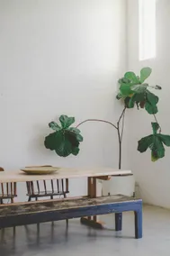 The Beach Ranch - Corner Garden Apartment - Image 4