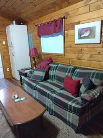 Quiet Petoskey Cabin - Image 4