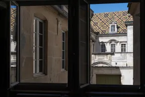 La Chouette des Ducs, Appartement en Hypercentre - Image 4