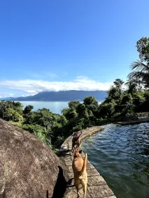 Ilhabela Chales - Image 2