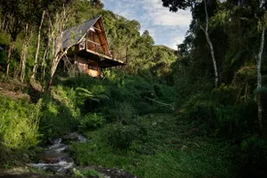 Glass Chalet in the Woods with Waterfalls - Image 4