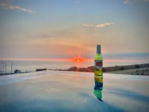 Dolphin House, Luxury Beach House in Lima Sur - Image 4