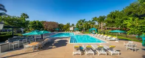 Huge Oceanside Private 2BR Apartment-Pool-Gym-Spa - Image 3