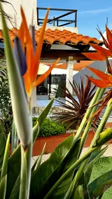 Beach House T2 ground floor on the beach with garden - Image 5