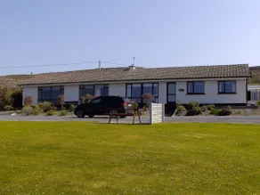 Dolphin Watch - Image 4