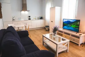 Nueva Ribera Apartments - N2 - Image 3