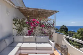 Capri center – Sofia, Oliveto Capri - Image 2