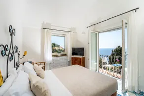 Capri center Maria Stella, Olive grove Capri - Image 4
