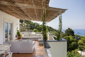 Capri center Maria Stella, Olive grove Capri - Image 2
