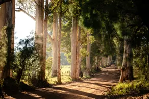 Family Cottage | Country escape, pet friendly - Image 2