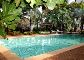 Bungalow Hibiscus - Image 5