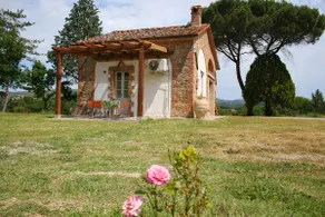 Opera d'Oro - Image 4