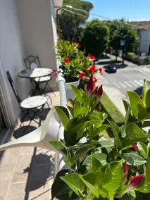 La casa di Nana’ - Image 4