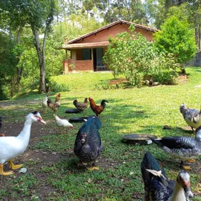 Gaia Point, relax in the midst of nature! Pet-friendly - Image 3