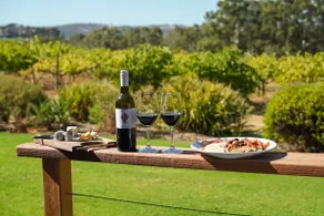 Alluca Villa McLaren Vale vineyard escape - Image 5