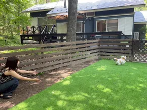 Relaxing stay in a summer getaway / Any number of dogs welcome / Includes a dog run / Life with a fireplace - Image 5