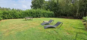 Studio: Nature and Forest in the Heart of the Vosges - Image 2