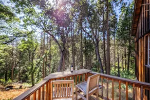 Spa, walk to river + saloon. Near Giant Sequoias - Image 3