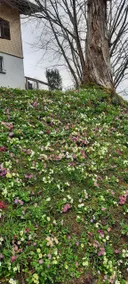 Gippi Wellness - Image 5