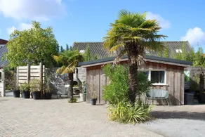 Cozy chalet: Canna Banana close to Veerse Meer - Image 3