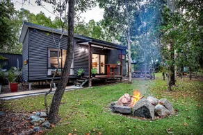 Airlie Beach Eco Cabins - Bandicoot Cabin - Image 3