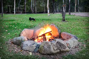 Airlie Beach Eco Cabins - Bandicoot Cabin - Image 4
