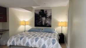 2 bedrooms basement Guest suite separate entrance - Image 4