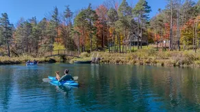 Chalet in the trees - Image 2