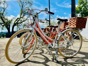 Walk to Downtown Healdsburg--Luxury Healdsburg Vacation Rental - Image 3
