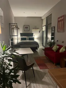 Hugo Mews Bright Studio Apartment - Image 3