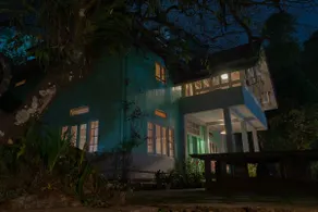The Orchid Glade - Image 2