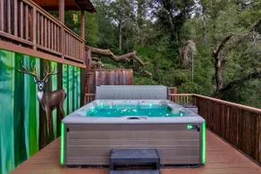Redwood Retreat | Sauna, Plunge, Jacuzzi & Views - Image 3