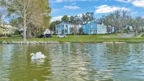 Top 1% Stay – Cozy Lakefront with Hand-Fed Swans - Image 4