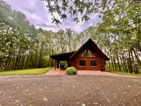 Tree Bear Cabin, on a 67 acre Tree Farm - Image 2