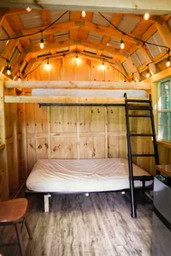 White Wolf Acres Bunkie (1) - Image 2