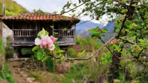 Casa La Parra - Image 2
