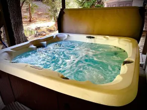 Dog Friendly Lake Ski Home w/Hot Tub Near Yosemite - Image 3